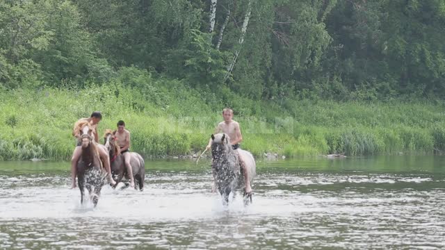 Children bathe horses in the river, ride horses, go out of the water to the shore Ural, Salavatsky...