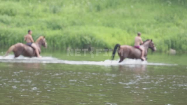 Children bathe horses in the river, ride horseback, shooting with a change of focus Ural,...