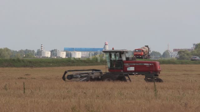 The combine harvester is working in the field, harvesting, cars are passing along the road Ural,...