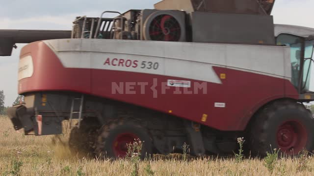 Combine harvester working in the field, side view, harvesting Ural, field, crop, grain crops,...