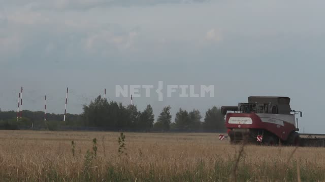 Combine harvester working in the field, harvesting, meeting of two combines, reel close-up Ural,...