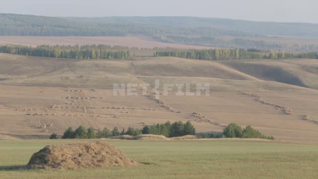 Agricultural fields and surroundings Ural, fields, forests, trees, hills, nature, hay, haystacks