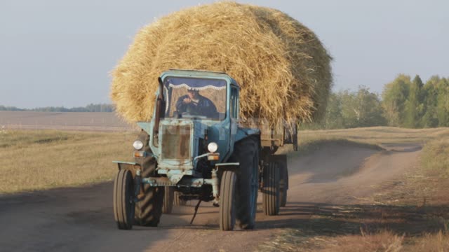 По проселочной дороге трактор везет сено, вид спереди Урал, поля, дороги, сено, трактор, техника,...