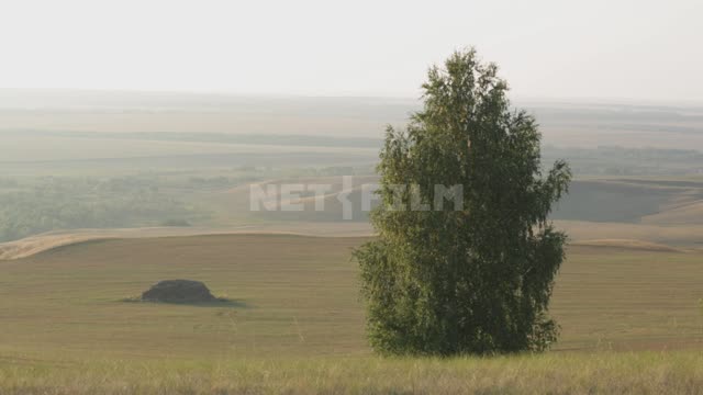 Agricultural fields and surroundings Ural, fields, trees, hills, nature