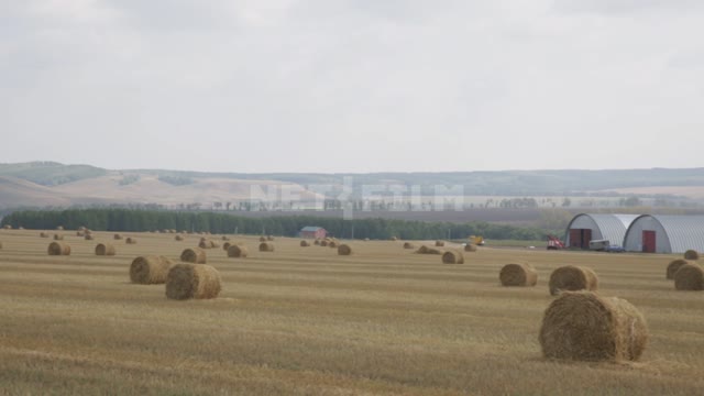 Hay in rolls on the field in front of the hangars Ural, fields, hills, hay, rolls, stacks, feed,...