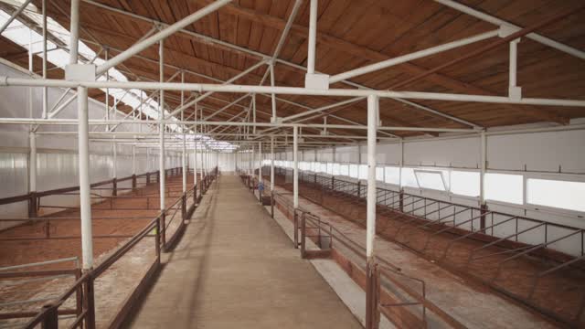 Livestock complex, a room for keeping livestock Ural, agriculture, construction, farm, cowshed
