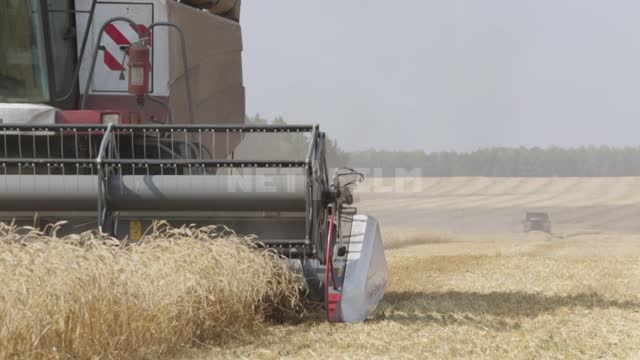 Combine harvester working in the field, harvesting, reel close-up Ural, field, crop, grain crops,...