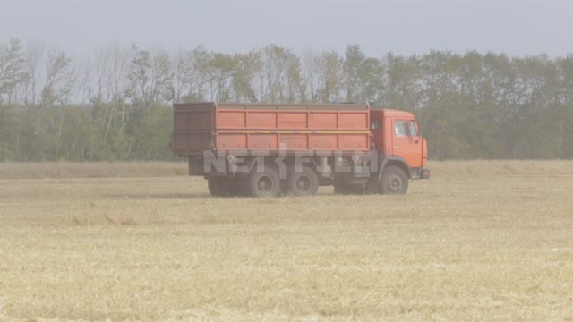 Harvesting, a truck with grain leaves the field Ural, field, crop, truck, machinery, agriculture,...