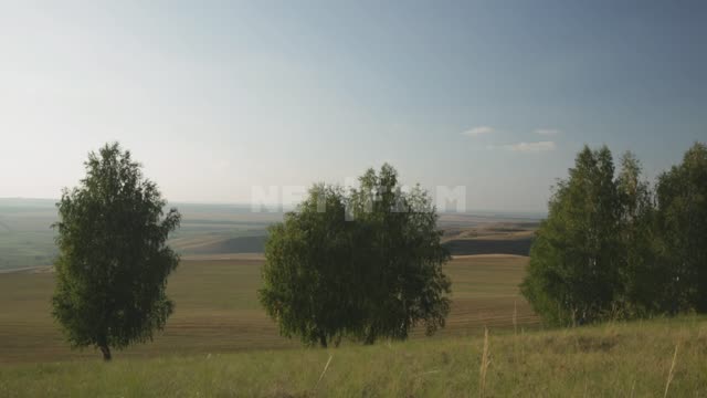 Agricultural fields and surroundings Ural, fields, trees, hills, grasses, nature
