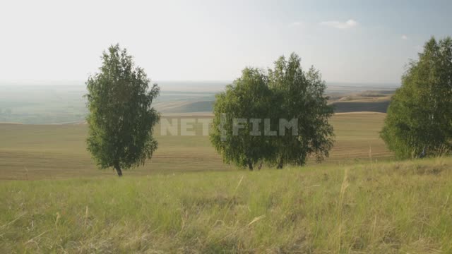 Сельскохозяйственные поля и окрестности Урал, поля, деревья, холмы, травы, природа