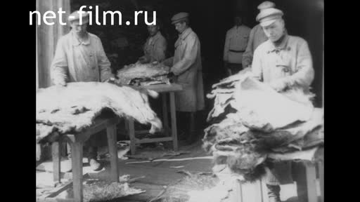 Footage Tannery. (1920 - 1930)