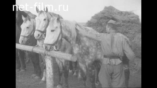 Footage Horsemen near Smolensk. (1943)