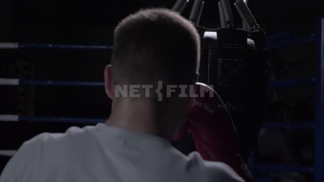 The view from the back of a boxer who gets in a punching bag. Boxing.
Boxers.
The...
