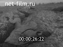Footage In Courland. (1945)
