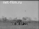 Footage The battles on the Belgorod direction. (1943)