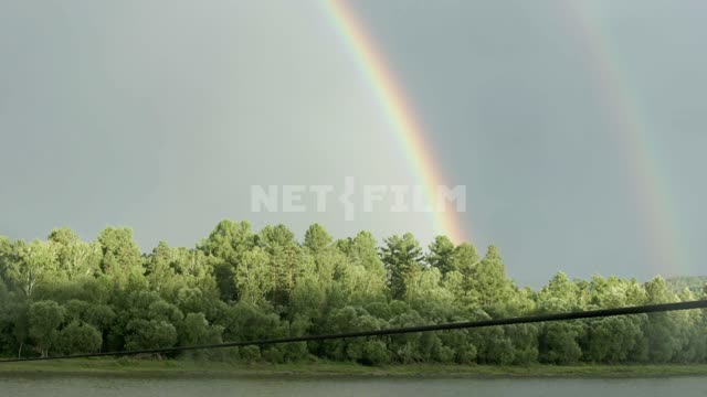 Rainbow in a forest Rainbow, trees, forest, sun, summer, day, light, nature, sky