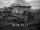 Newsreel Soyuzkinozhurnal 1941 № 115