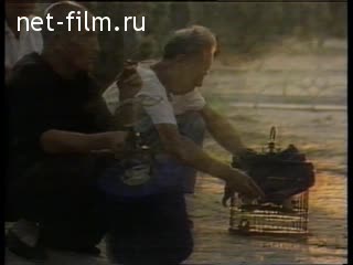 News Foreign news footages 1986 № 90