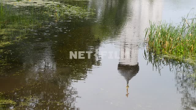 Reflection of temple in water during rain The temple dome, rain, drops, river, grass, nature,...