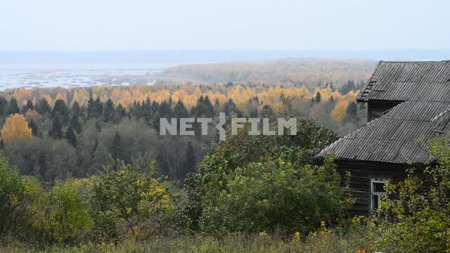 Wooden house on the background of the forest House, forest, trees, midland landscape, early autumn