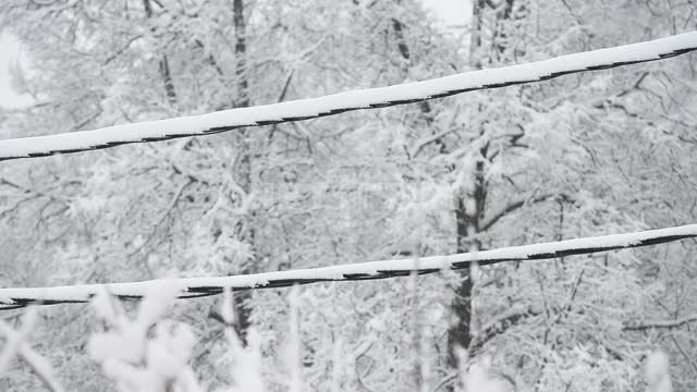 Провода в снегу на фоне зимнего леса Зима, лес, деревья, снег, провода