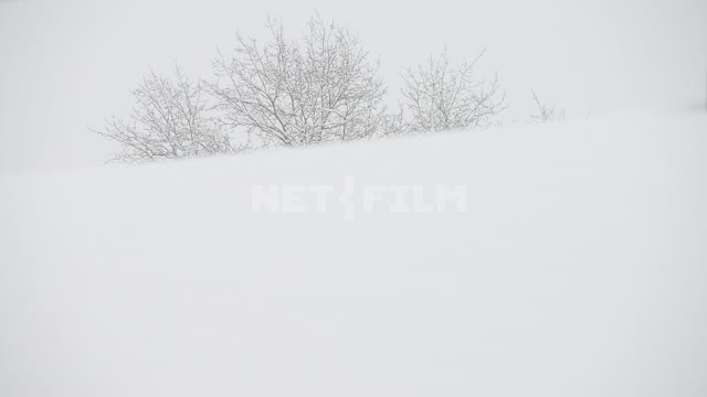 Электропоезд проезжает на фоне зимнего пейзажа Зима, снег, электричка, куст