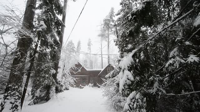 Деревянный дом в лесу. Идет снег Лес, снегопад, сугробы, деревья, еловые ветки, деревянный дом,...