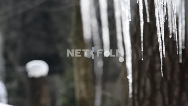 View of the melting icicles.
Close-up Icicles, ice, drops, thaw, early spring, day, nature