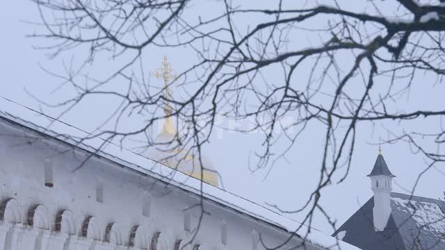 Вид на купол храма сквозь ветки дерева Православный храм, купол, ветки, дерево, природа, стены...