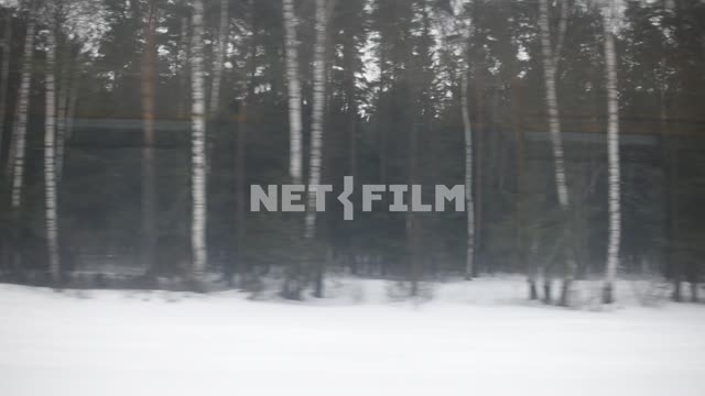 Вид на зимний лес из окна движущегося поезда Поезд, окно поезда, съемка с движения, лес, дома,...