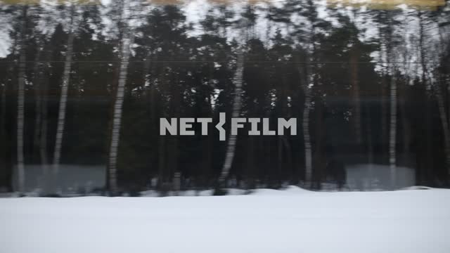 View of the winter forest from the window of a moving train Train, train, shooting motion, forest,...