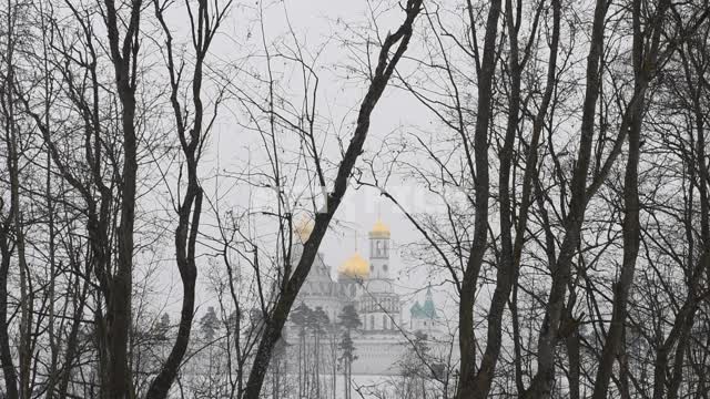 Православный храм на фоне леса Лес, деревья, ветки, храм, купола, зима, день