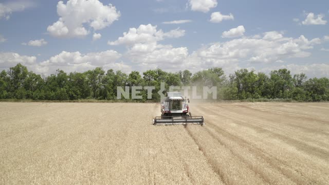 Modern harvester harvests, aerial photography Russia, southern Russia, Rostov, Rostov region,...