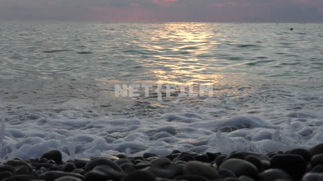 Sea surf in the rays of the setting sun Sea, nature, summer, sunset, landscapes, seashore, sun,...