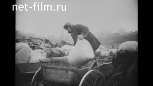 Footage The Farm "The Precept Of Ilyich". (1932)