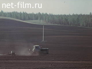 Фильм Азнакаевская гречиха. (1985)
