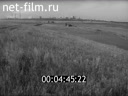 Film Nizhnekamsk version. (1984)