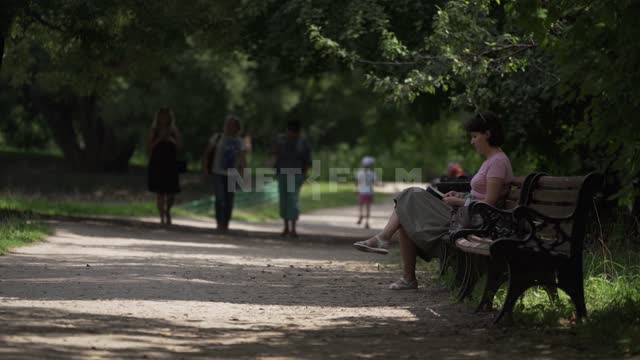 Женщина в парке читает книгу Парк, сквер, люди, женщины, прохожие, прогулки, отдых, лавка,...