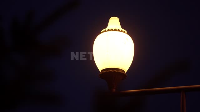 Уличный фонарь в пустом парке. Москва во время карантина карантин, вирус, коронавирус, Москва,...