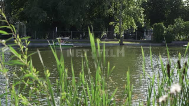 Gorky Park, riding in a pond on catamarans Gorky Park, Central Park District, pond, water,...