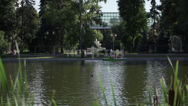 Gorky Park, riding in a pond on catamarans Gorky Park, Central Park, pond, water, catamaran,...