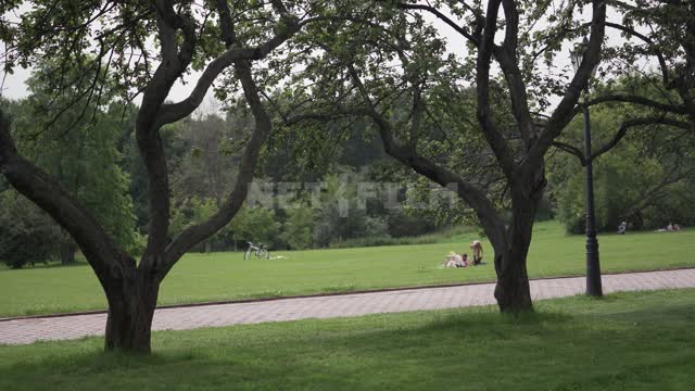 Kolomenskoye, people relax on the lawn in the apple orchard Kolomenskoye Museum-reserve, garden,...