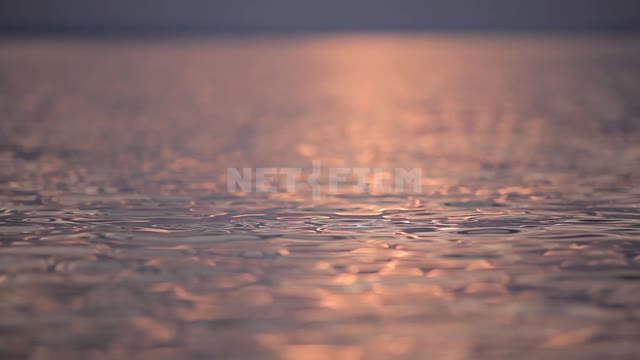 Ripples on the water, pink sun glare Water, waves, ripples, glare, Pink light, sunlight