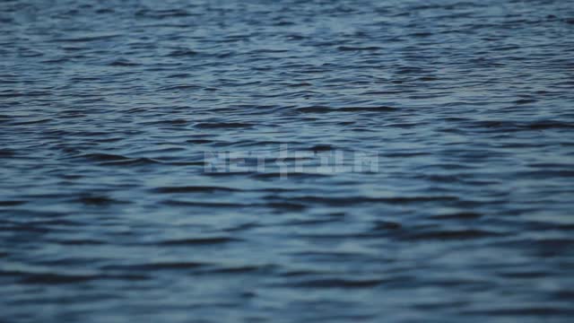 River River, water, pond, current, ripples, waves, nature