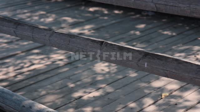 Tanais Museum-Reserve, wooden bridge Tanais, bridge, tree, railing, wind, sunlight, shadow