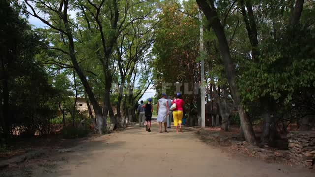 Tanais Museum-Reserve, driveway Tanais, alley, trees, sunlight, shadows, people, timelapse