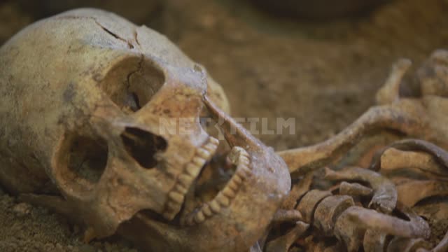 Tanais Museum-Reserve, human burial ground Tanais, museum, exhibition, exhibits, burial, grave,...