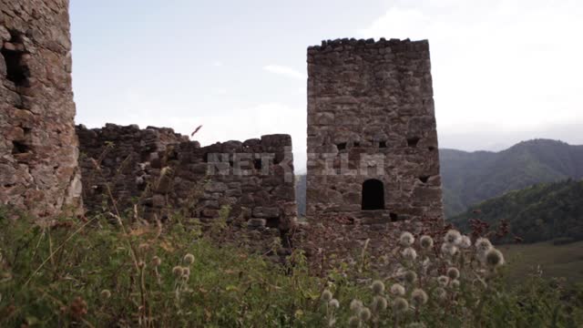 Derbent, blooming grass on the background of an ancient fortress and dilapidated towers Derbent,...