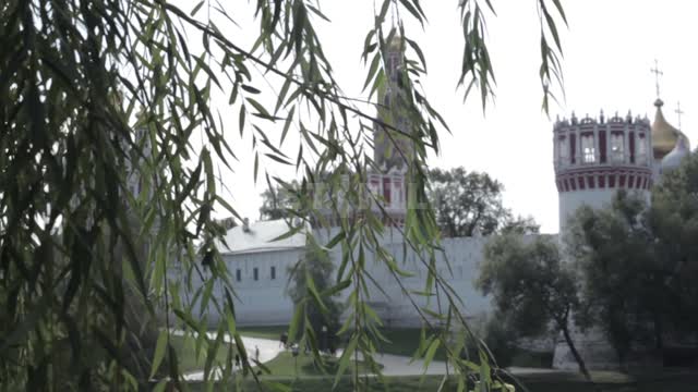 Вид на Новодевичий монастырь сквозь ветви ивы Новодевичий монастырь, достопримечательность,...