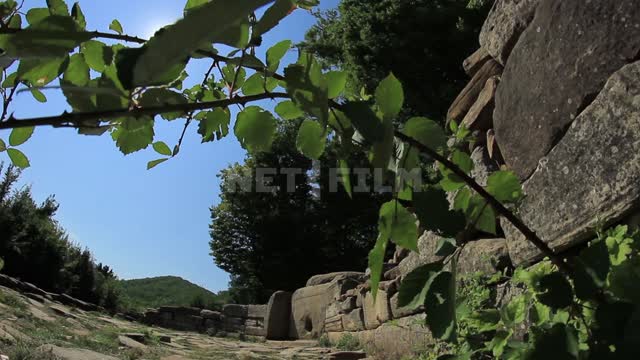 Dolmens of the Western Caucasus, shooting through the branches of a shrub with the approach...